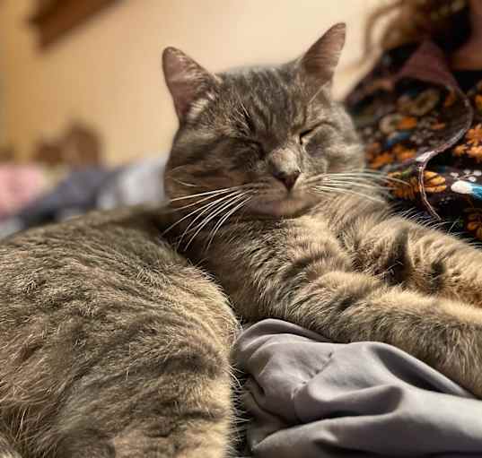 Photo of Oliver