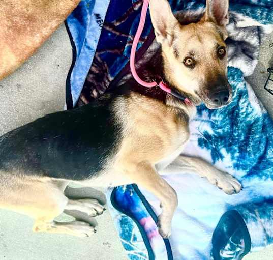 Photo of Bella Trixie