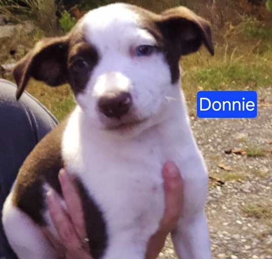 Photo of Donnie( I have blue eyes)