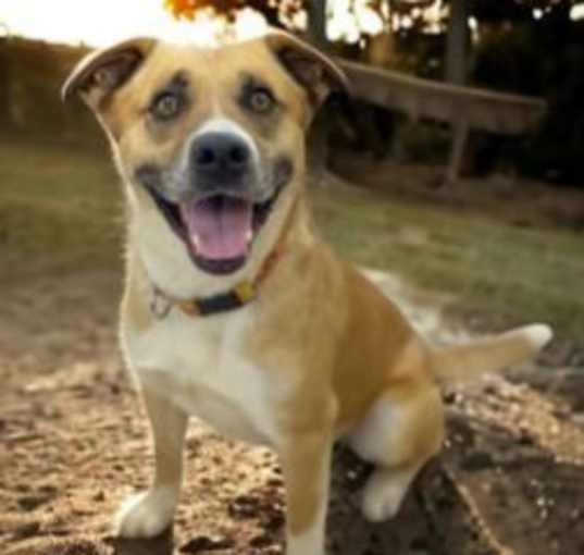 Photo of MAX