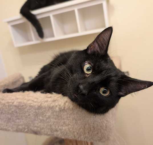 Photo of Finley