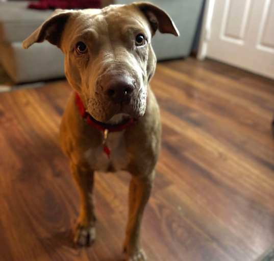 Photo of Winnie