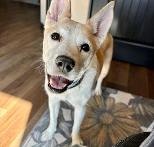 Photo of Snowflake
