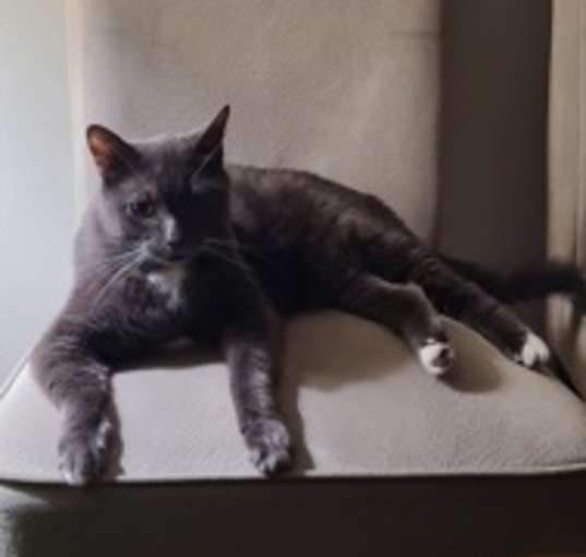 Photo of Smokey