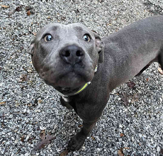 Photo of Dolly