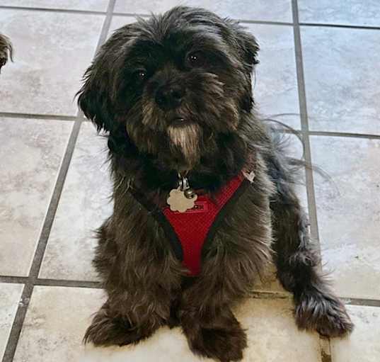 Photo of Charlie