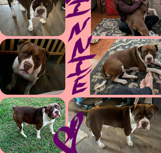 Photo of WINNIE