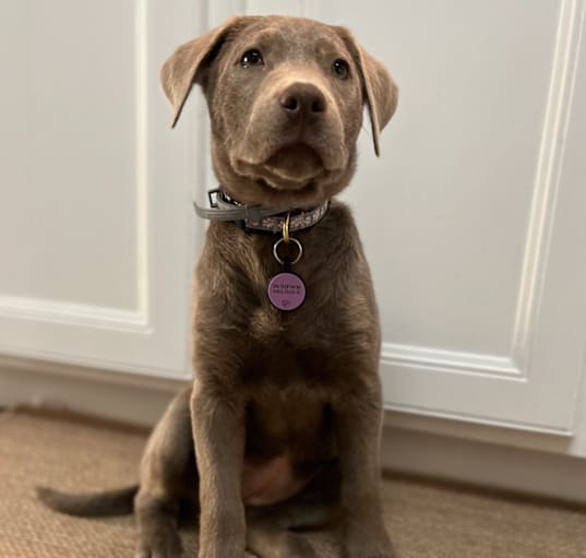 Photo of Nyx