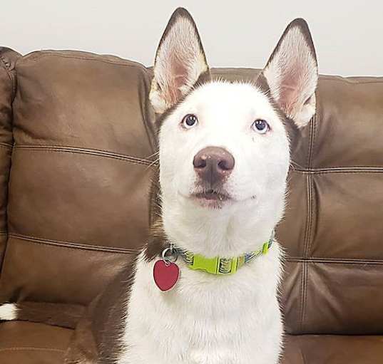 Photo of Rosie