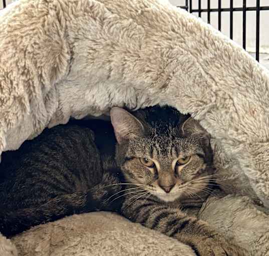 Photo of Selma