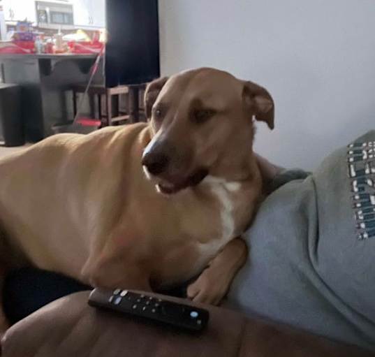 Photo of Hazel