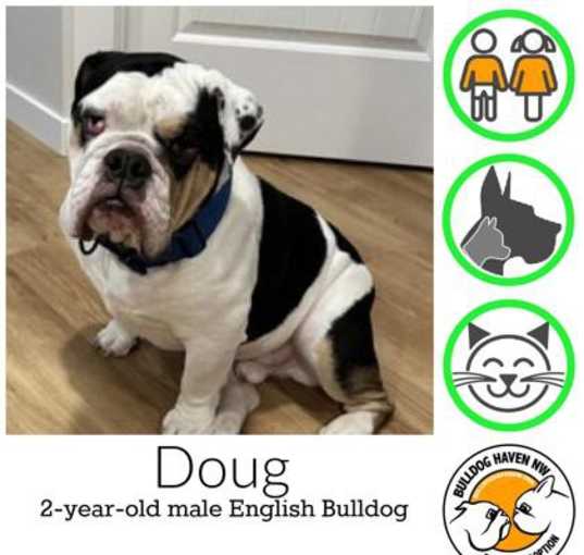 Photo of Doug