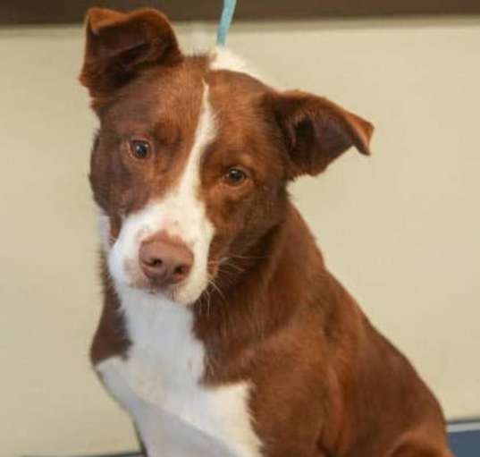 Photo of Dunkin