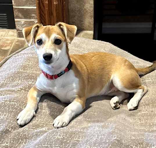 Photo of Holly