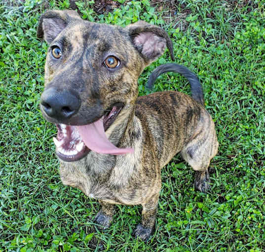 Photo of Zoe