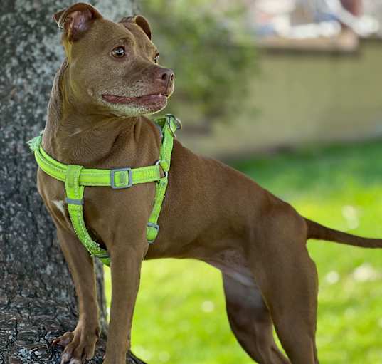 Photo of Sophie