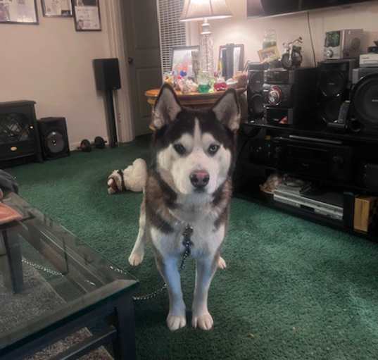 Photo of Rig