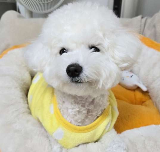 Photo of Nana
