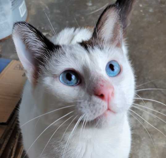 Photo of Joseph