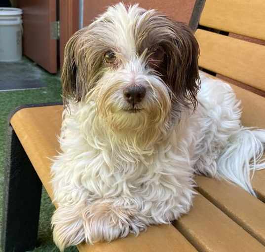 Photo of Macie