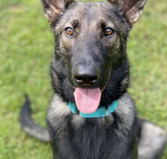 Photo of Indy Anna (Jones)