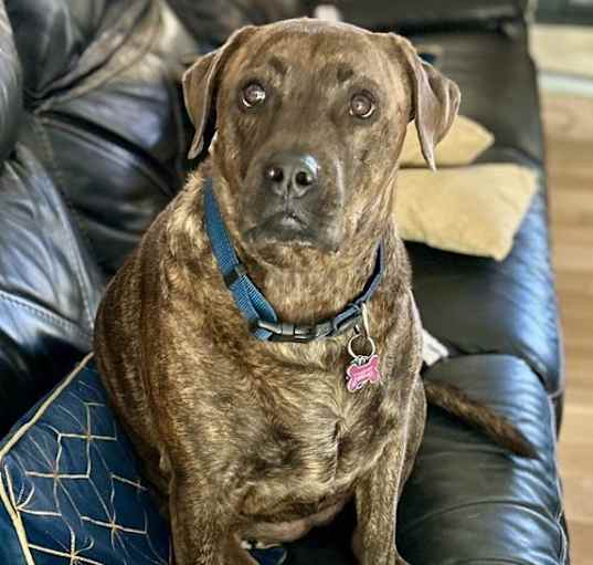 Photo of Reese (New Digs)