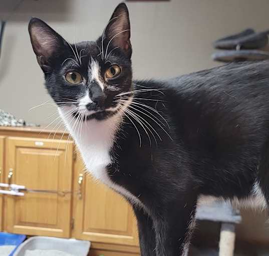 Photo of Ruthie