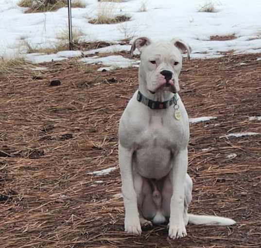 Photo of Finley