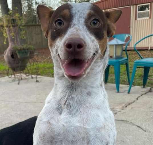 Photo of Maybelle