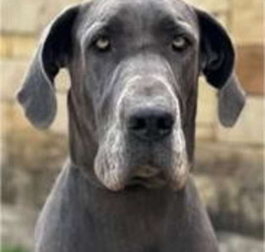Photo of Stormy