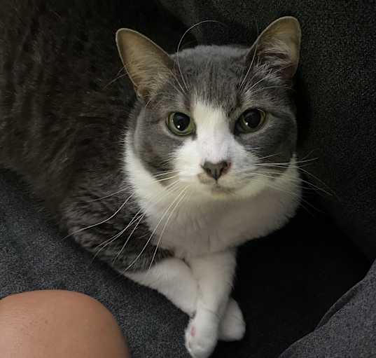 Photo of Miyagi