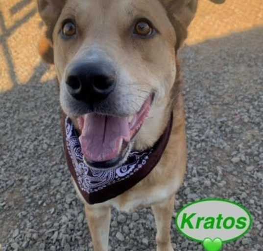 Photo of Kratos