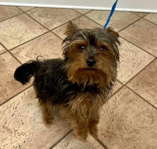 Photo of Sir Bentley Fitzsimmons