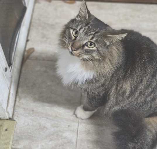 Photo of Issac