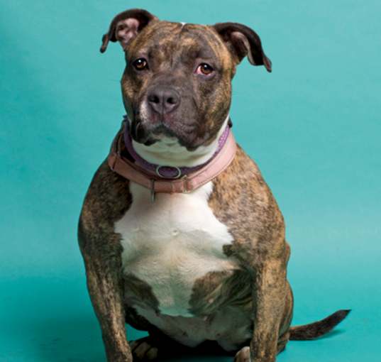 Photo of Roxy