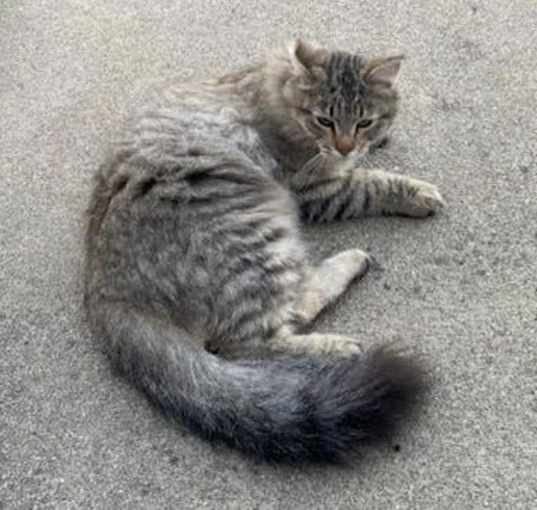 Photo of BABY