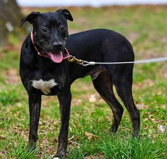 Photo of Spike
