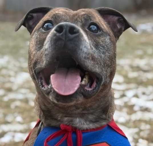 Photo of Bane