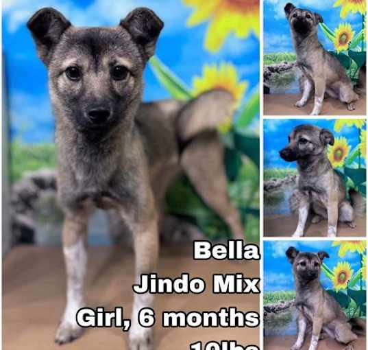 Photo of Bella from Korea