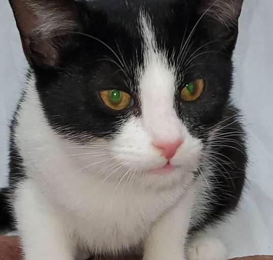 Photo of Jessie