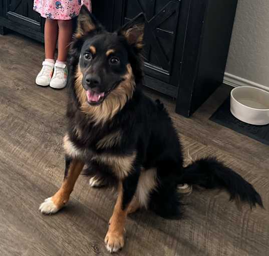 Photo of Ghost