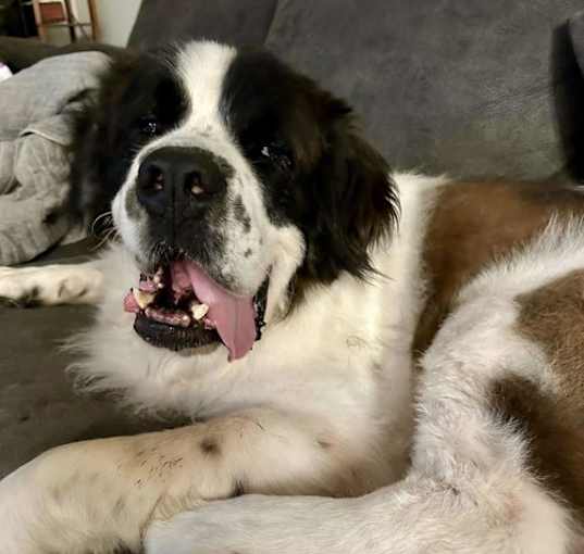 Photo of Beethoven