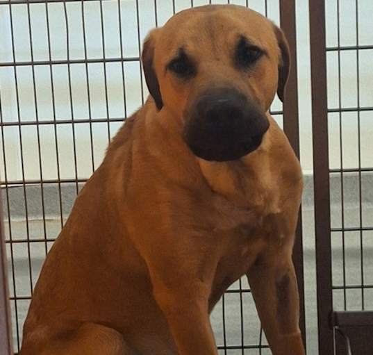 Photo of Clyde