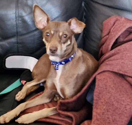 Photo of Princess