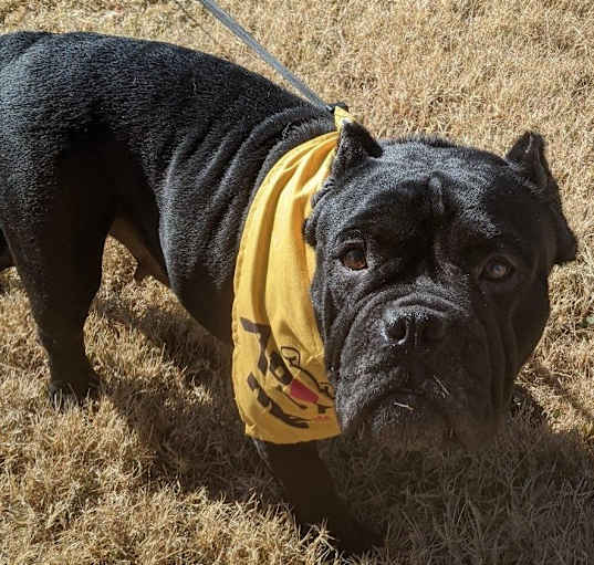 Photo of Brenda