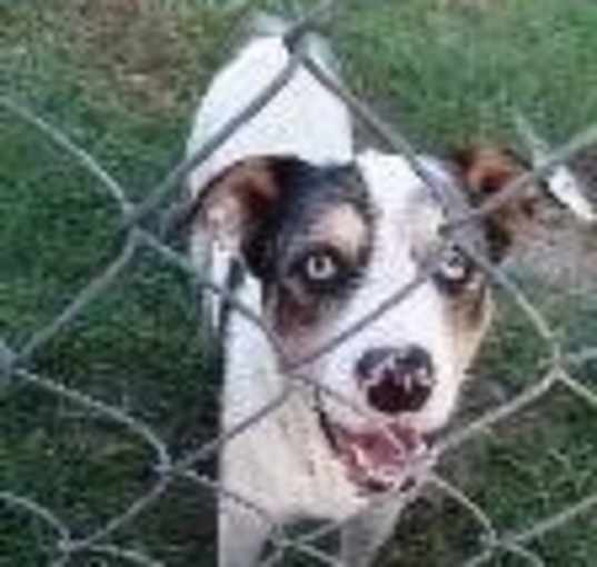 Photo of Obie