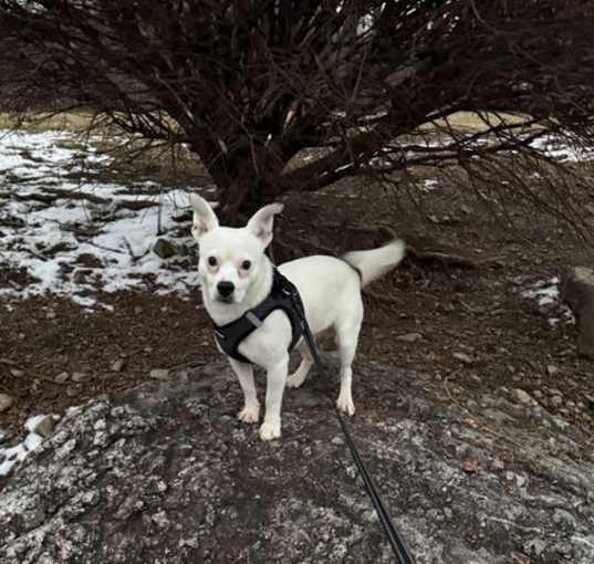 Photo of Benny