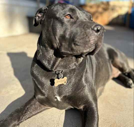 Photo of Muneca