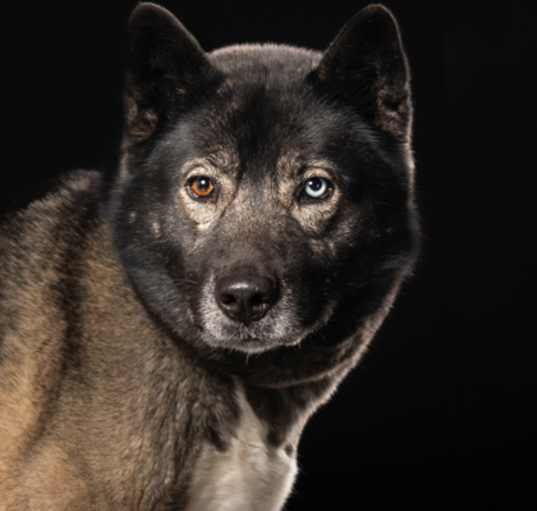 Photo of Sasha