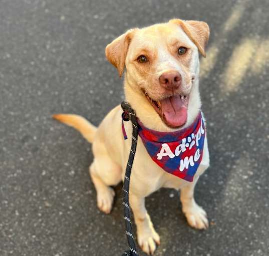 Photo of Tucker